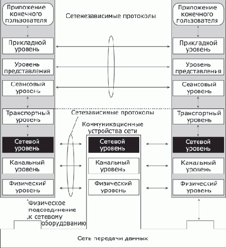 Сетезависимые и сетенезависимые уровни